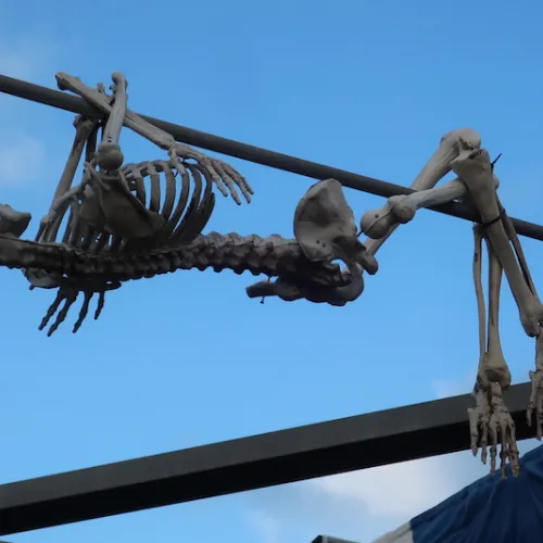 Llega el Halloween 2022 de PortAventura
