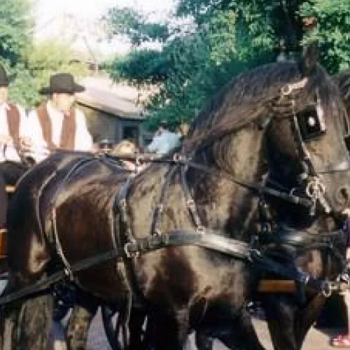 La Fiesta del Far West