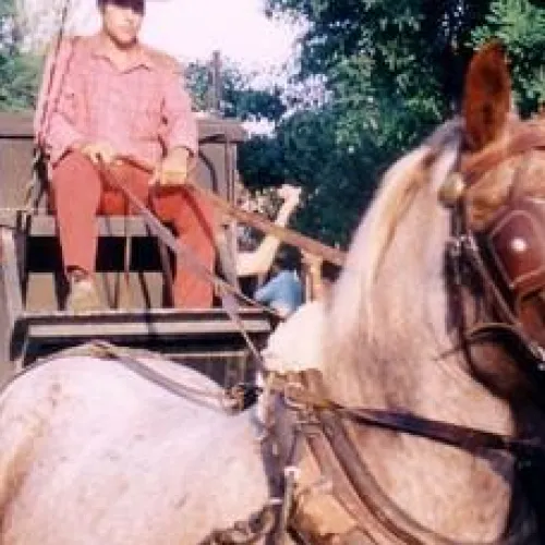 La Fiesta del Far West