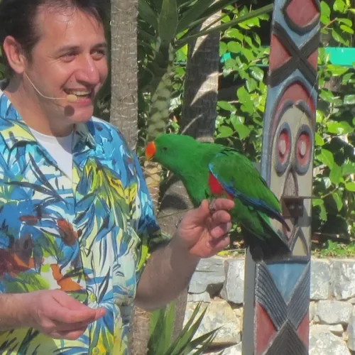 Fotos históricas de Makamanu Bird Show