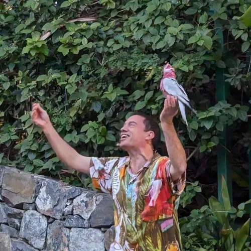 Último dia de Aves del Paraíso