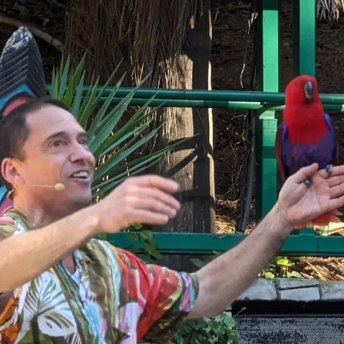 Último dia de Aves del Paraíso