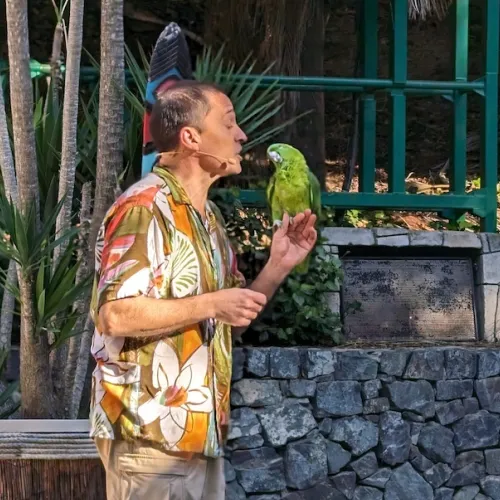 Último dia de Aves del Paraíso