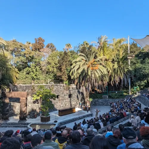 Último dia de Aves del Paraíso
