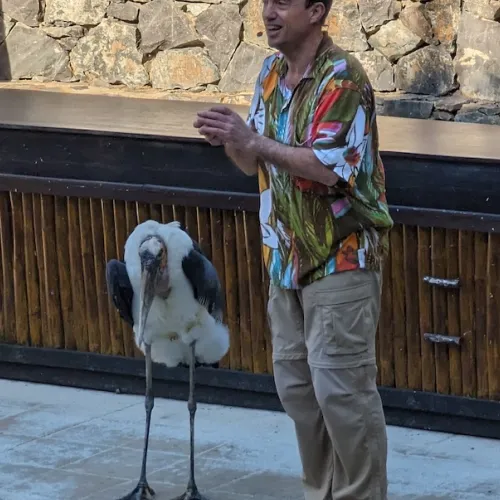 Último dia de Aves del Paraíso