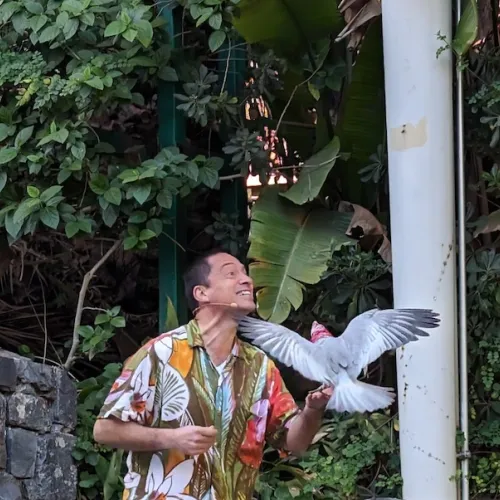 Último dia de Aves del Paraíso