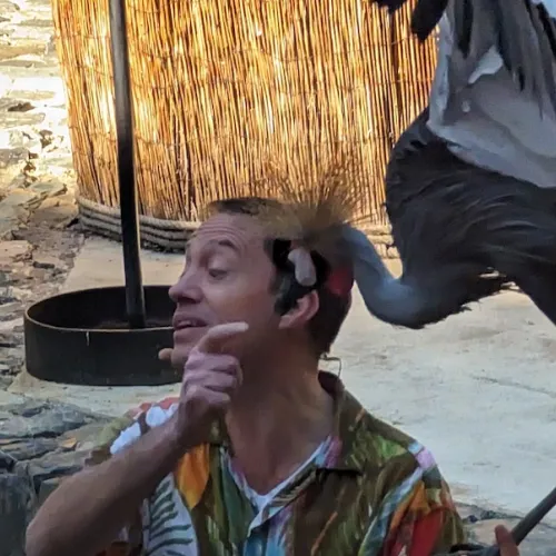 Último dia de Aves del Paraíso