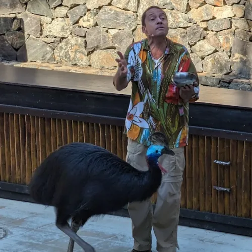Último dia de Aves del Paraíso