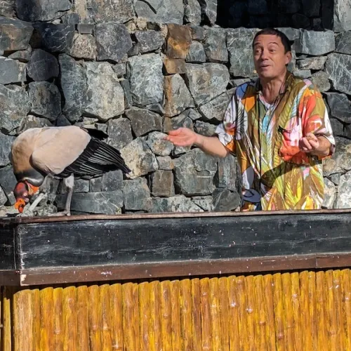 Último dia de Aves del Paraíso