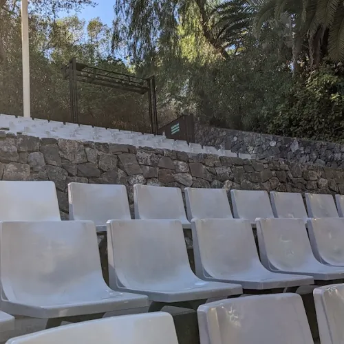 Último dia de Aves del Paraíso