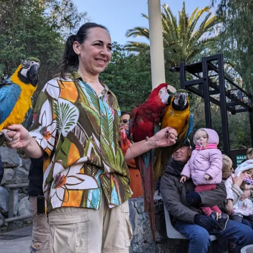 Último dia de Aves del Paraíso
