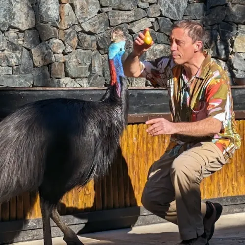 Último dia de Aves del Paraíso