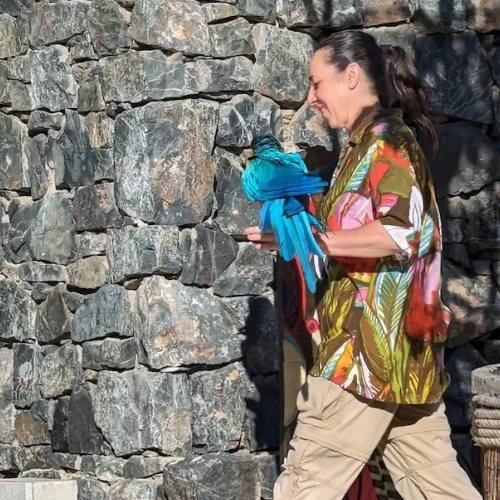 Último dia de Aves del Paraíso