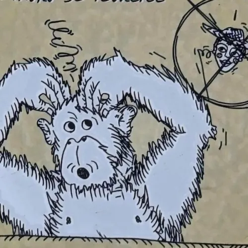 La auca completa de Furius Baco, la historia de la montaña rusa