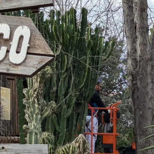 Mantenimiento a parque cerrado en PortAventura