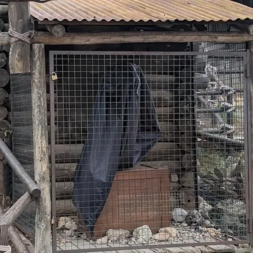 Mantenimiento a parque cerrado en PortAventura