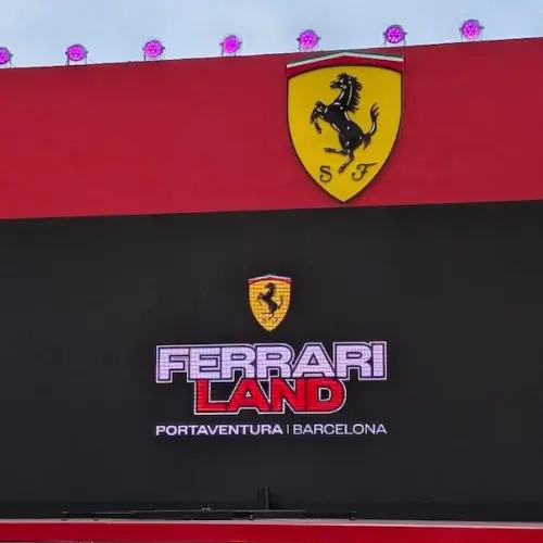 Born to Race