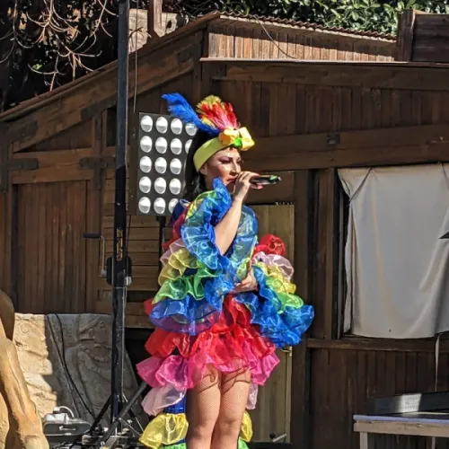 Animación de Carnaval