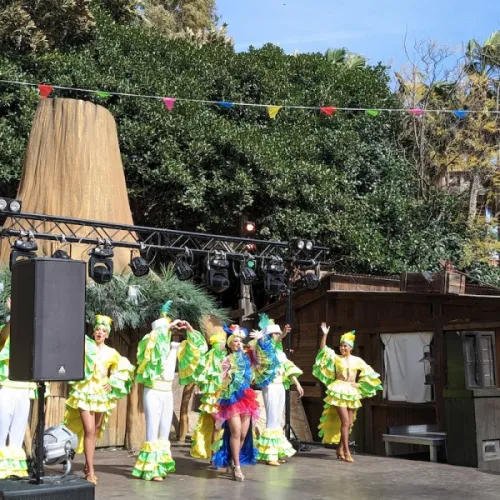 Animación de Carnaval