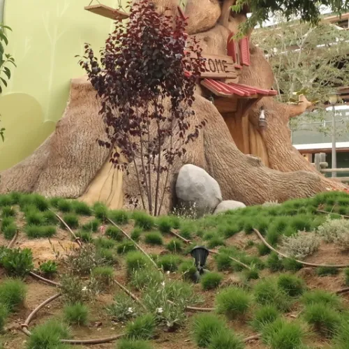 La Casa de Woody
