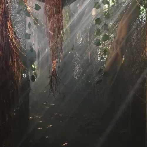 Apocalipsis Maya