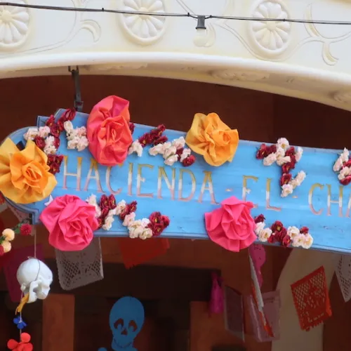 La Muerte Viva