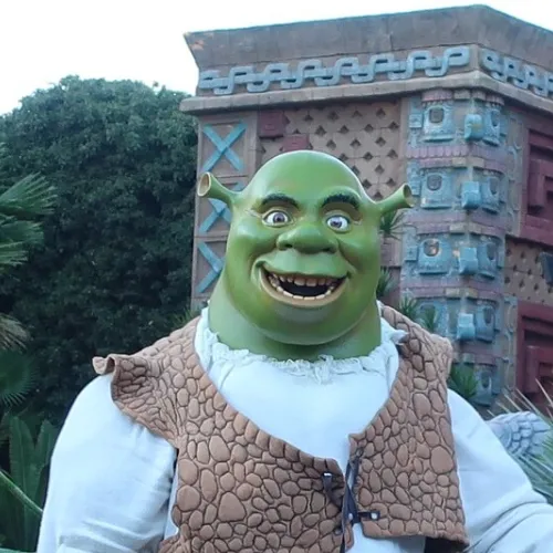 Meet Shrek & Fiona