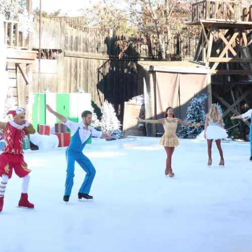 Angels On Ice
