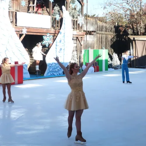 Angels On Ice