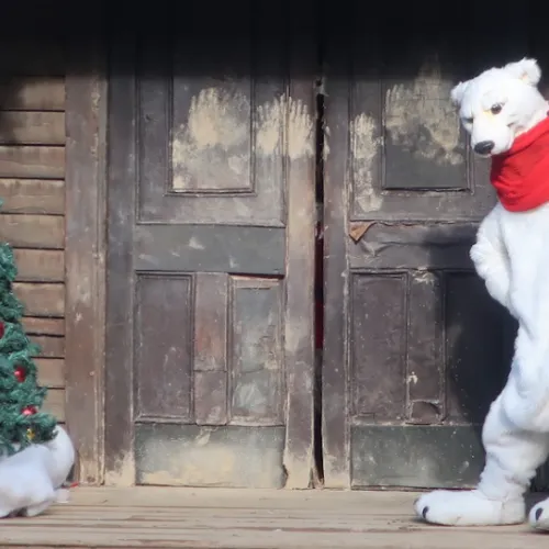 Bang Bang Christmas