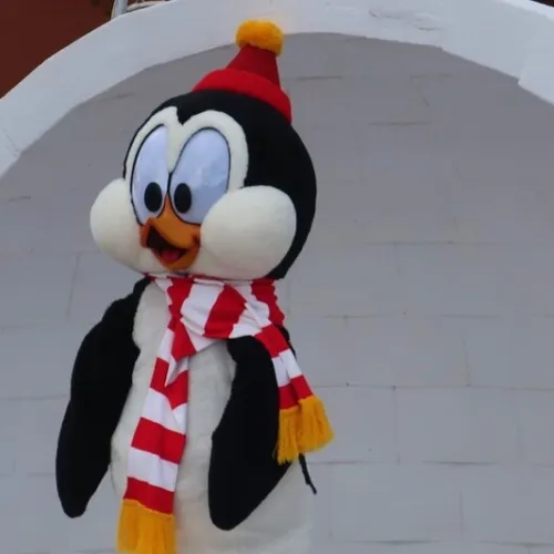 Meet Chilly Willy