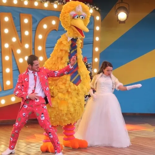 Welcome Big Bird