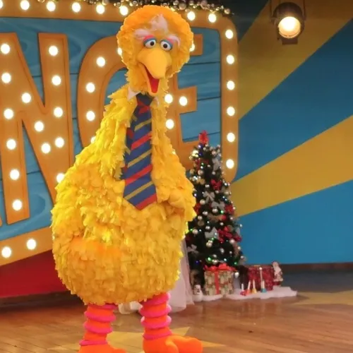 Welcome Big Bird