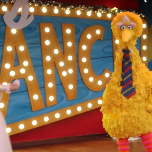 Welcome Big Bird