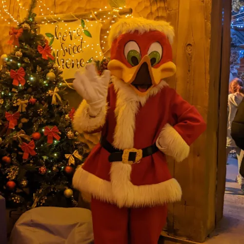 Woody Magic Christmas