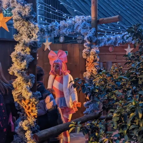 Woody Magic Christmas