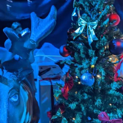 Woody Magic Christmas