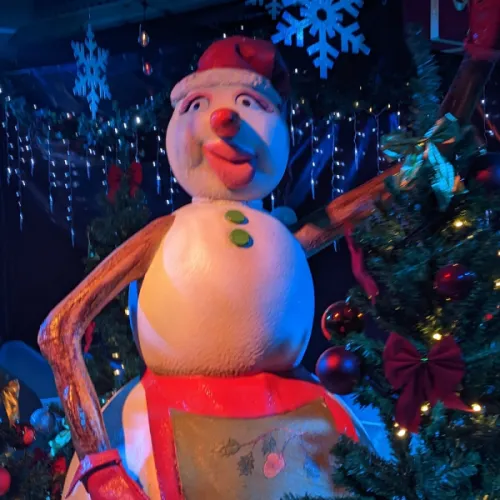 Woody Magic Christmas