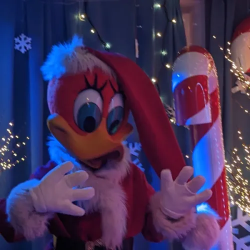 Woody Magic Christmas