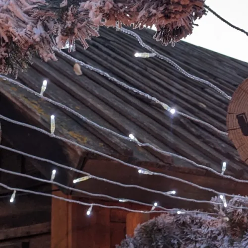 Woody Magic Christmas