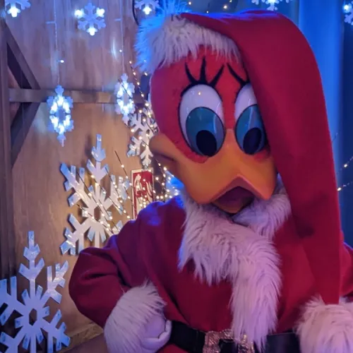Woody Magic Christmas