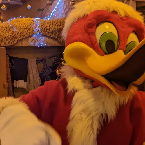 Woody Magic Christmas
