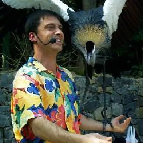 Aves del Paraíso