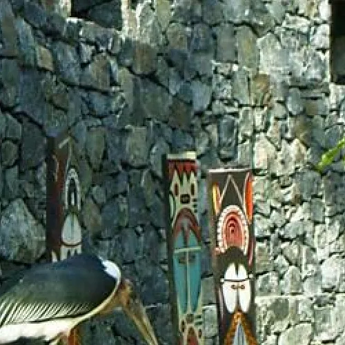 Aves del Paraíso