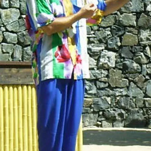 Aves del Paraíso