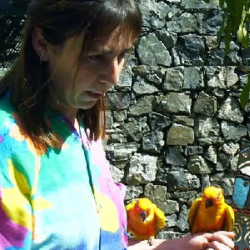 Aves del Paraíso