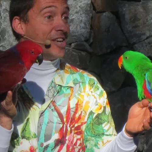 Aves del Paraíso