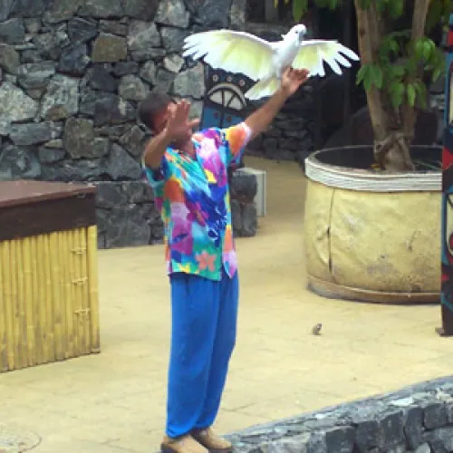 Aves del Paraíso