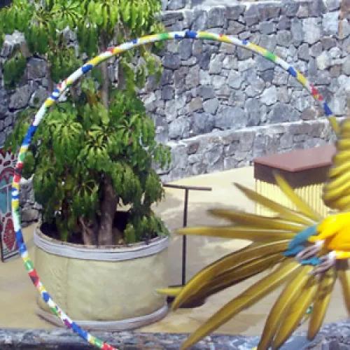 Aves del Paraíso