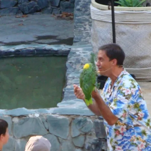 Aves del Paraíso